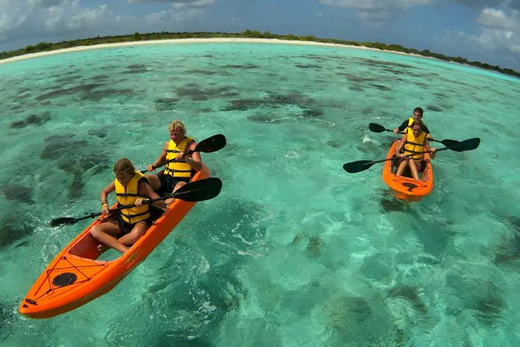 Mensen die kajakken in kristalhelder water, wat de serene schoonheid van de mangroven van Bonaire laat zien. Doe mee aan de mangrovetour met onze partner en geniet van speciale kortingen op pick-up verhuur bij Pickup Huren Bonaire.
