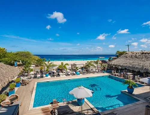 24 Uurstrip naar Bloozz Resort